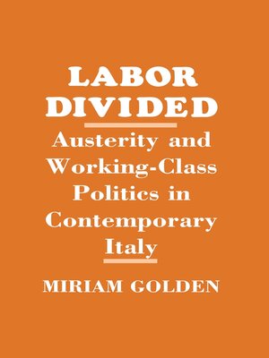 cover image of Labor Divided